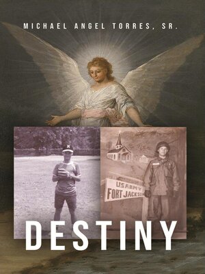 cover image of Destiny